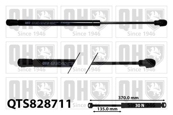 Amortecedor de tampa de porta-malas (de 3ª/5ª porta traseira) Opel Insignia A G09